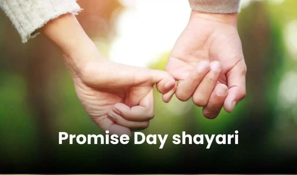 promise day shayari