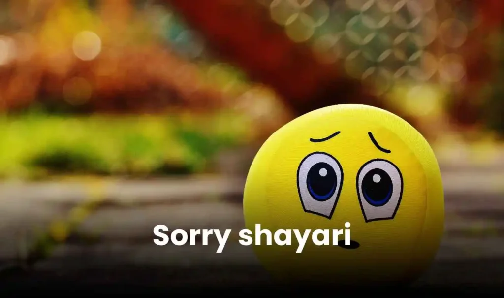 sorry shayari